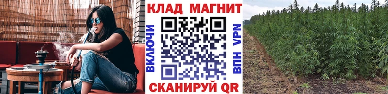 Где купить Котлас ТГК МЕГА сайт Кокаин ГАШ Канабис Меф