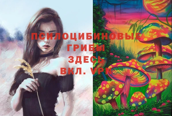СК Абинск