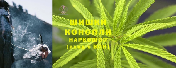 СК Абинск