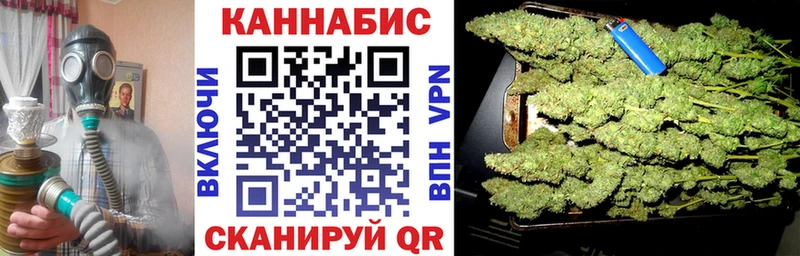 купить наркотик  Котлас  Каннабис индика 